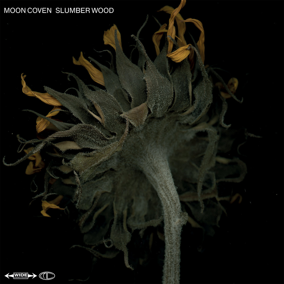 Reseña: MOON COVEN.- ‘Slumber&nbsp;Wood’