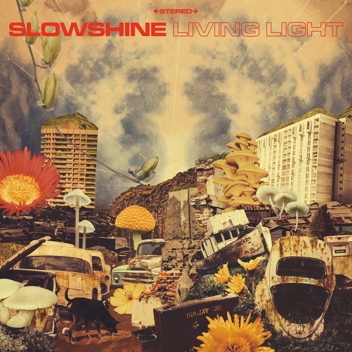 Reseña: SLOWSHINE.- ‘Living&nbsp;light’