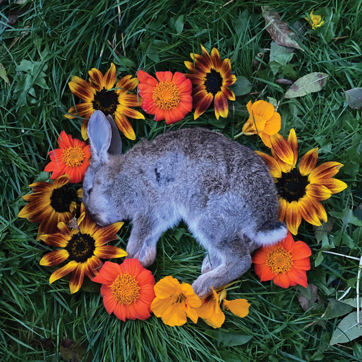 RECOMENDACIONES DE LA SEMANA (WEEKLY&nbsp;RECOMENDATIONS)