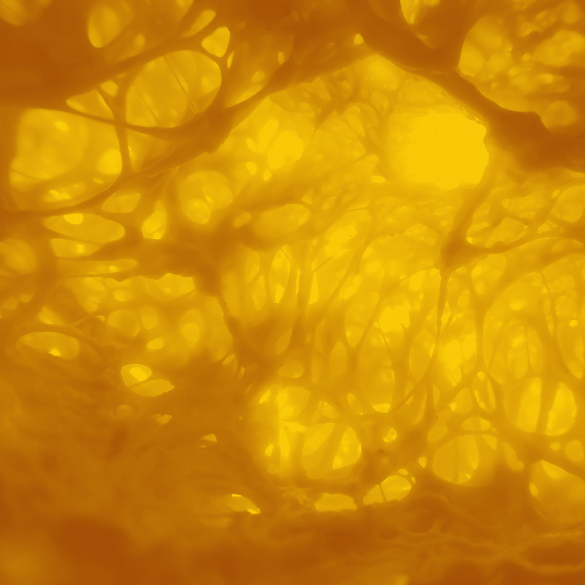 Reseña: THE SLOW VOYAGE.- ‘Soul’s whisper’