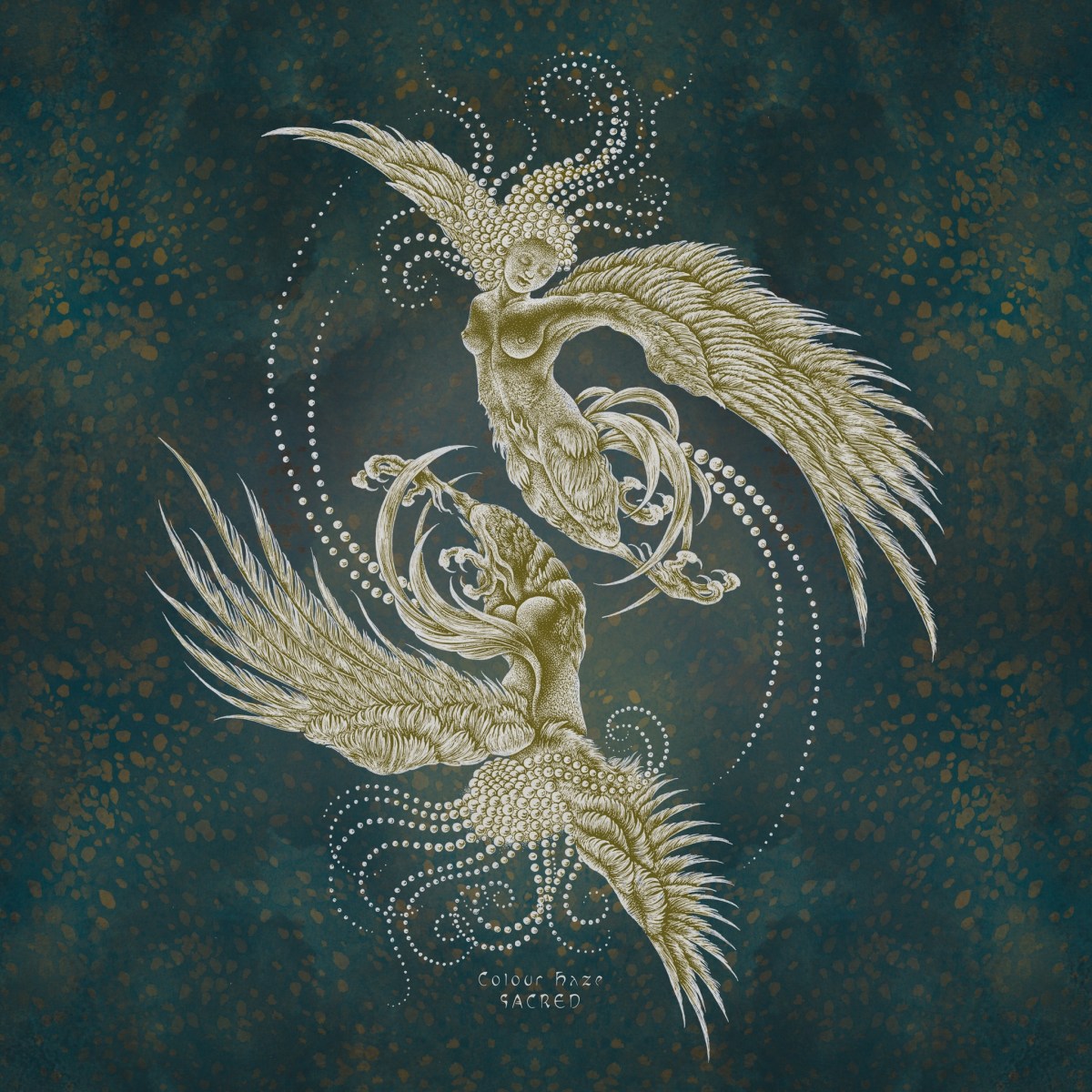 RECOMENDACIONES DE LA SEMANA (WEEKLY&nbsp;RECOMENDATIONS)