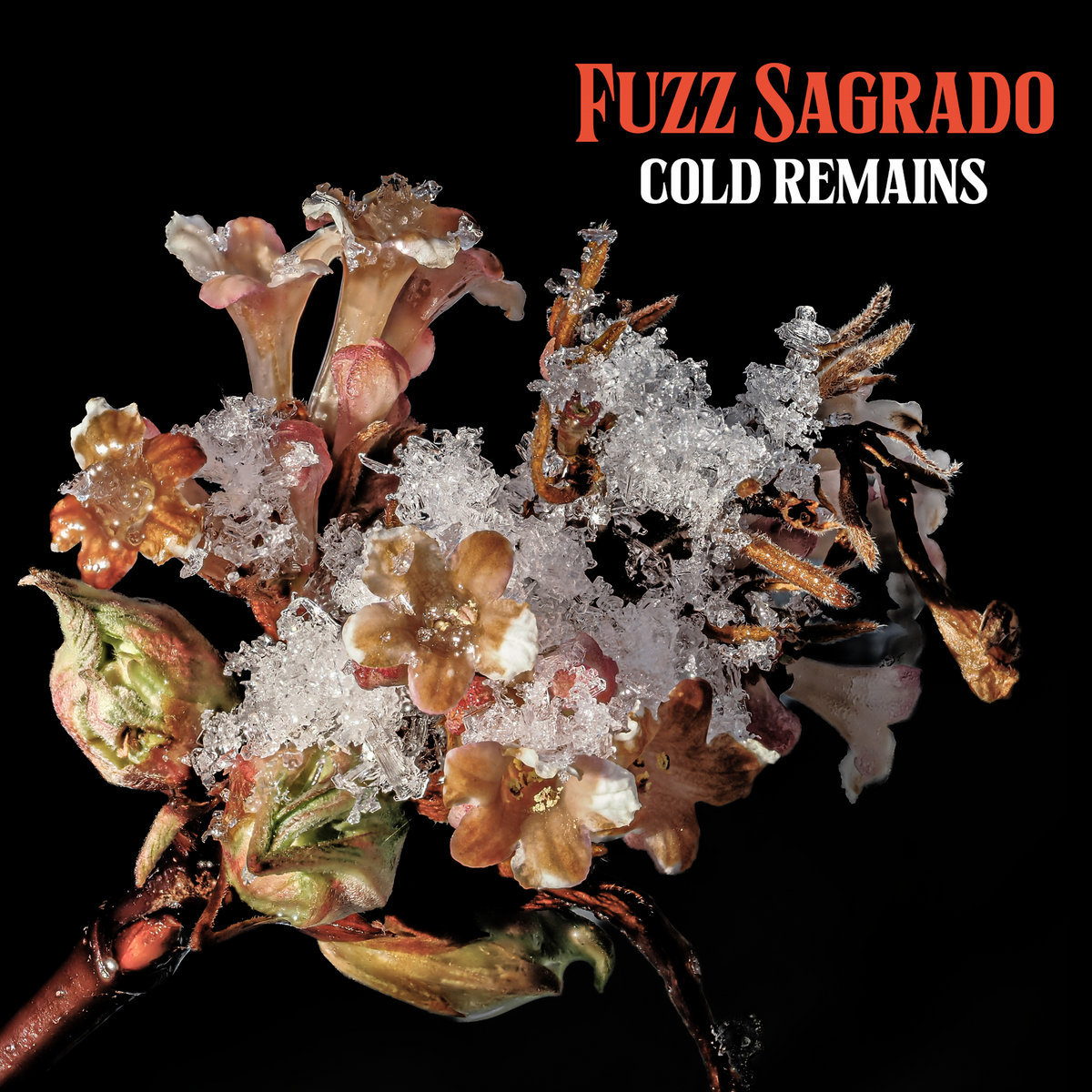 Reseña: FUZZ SAGRADO.- ‘Cold&nbsp;Remains’