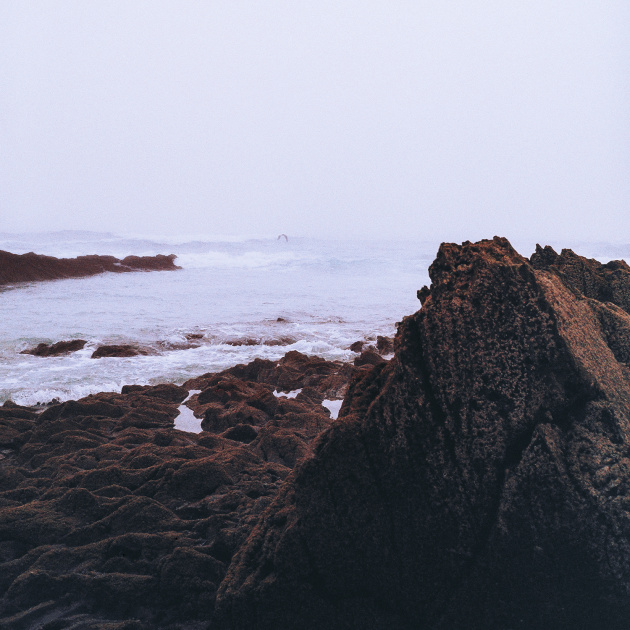 Reseña: COLTAINE.- ‘Brandung’