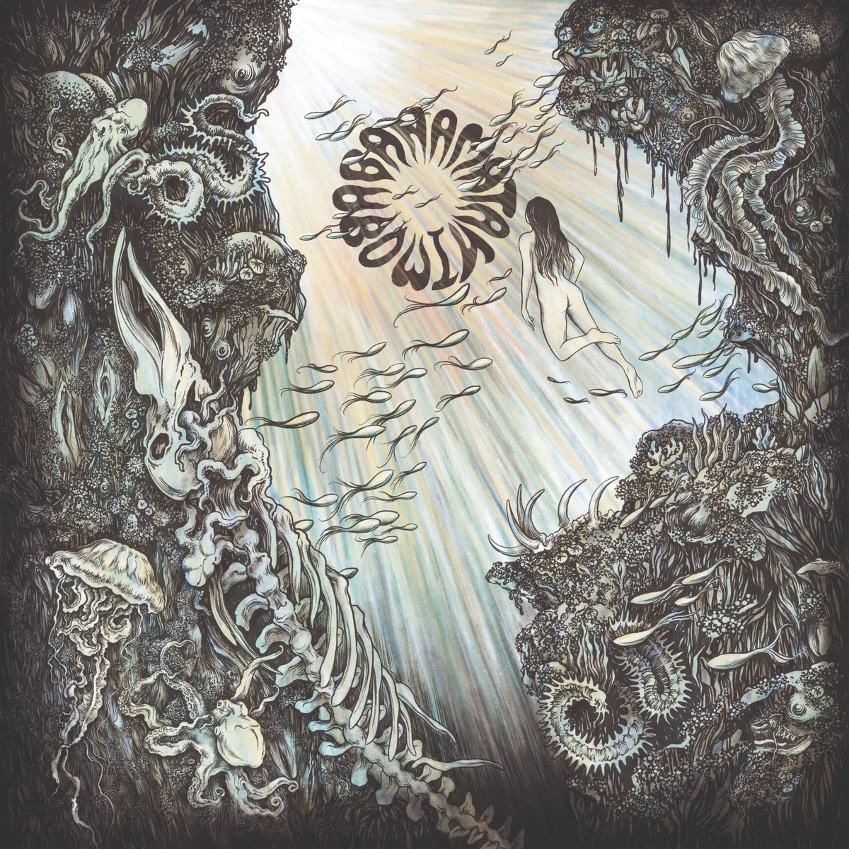 RECOMENDACIONES SEMANALES (WEEKLY&nbsp;RECOMENDATIONS)